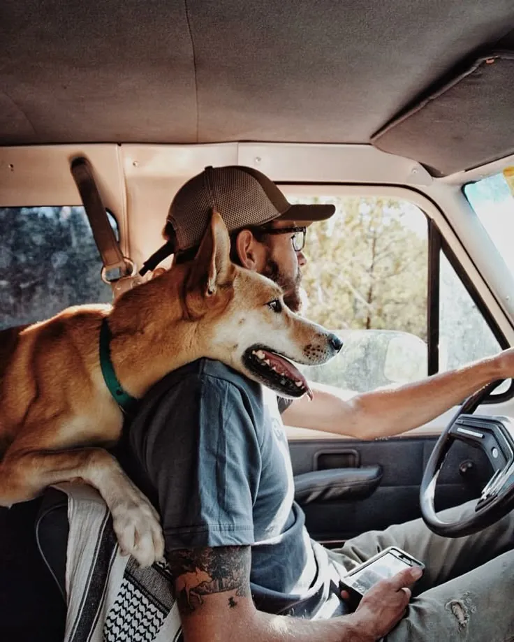 Jake driving, dog riding shotgun